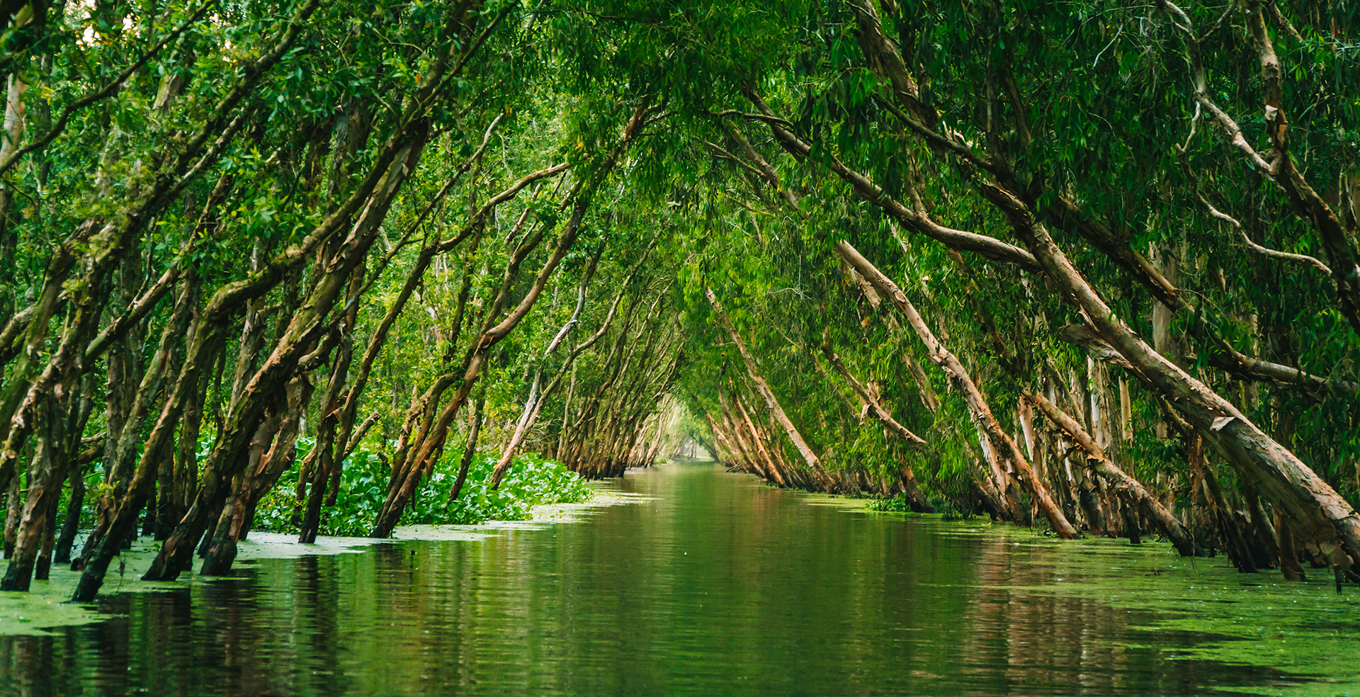 Mekong